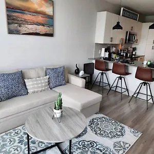 Apartment Luxurious 1 Bedroom Apt In Ybor, Tampa