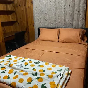 Homestay Terrace, Tampa