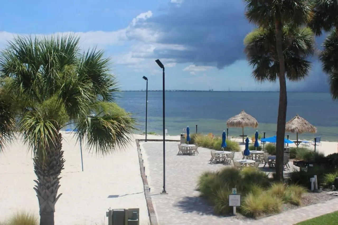 Vakantiehuis Wake Up To Ocean Views From Your Private Balcony Tampa